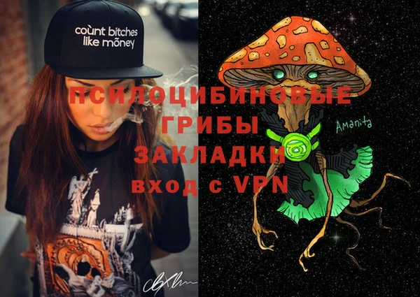 тгк Няндома