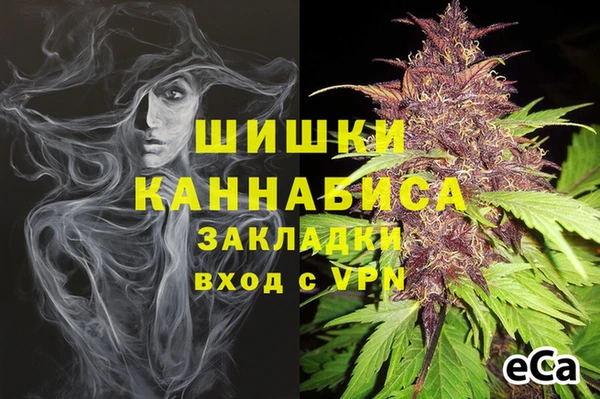дурь Белокуриха