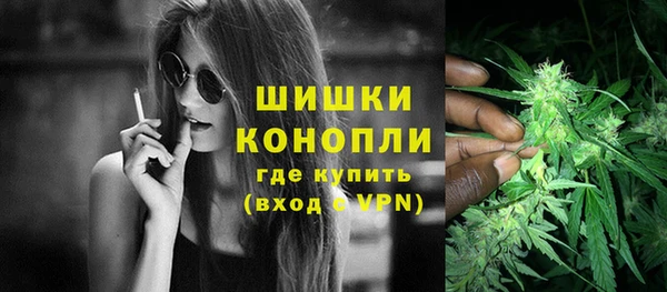 spice Богородск