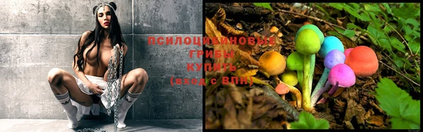 кокаин колумбия Богданович