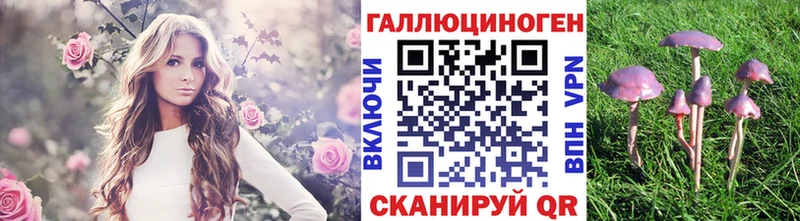 Галлюциногенные грибы Magic Shrooms  Северская 